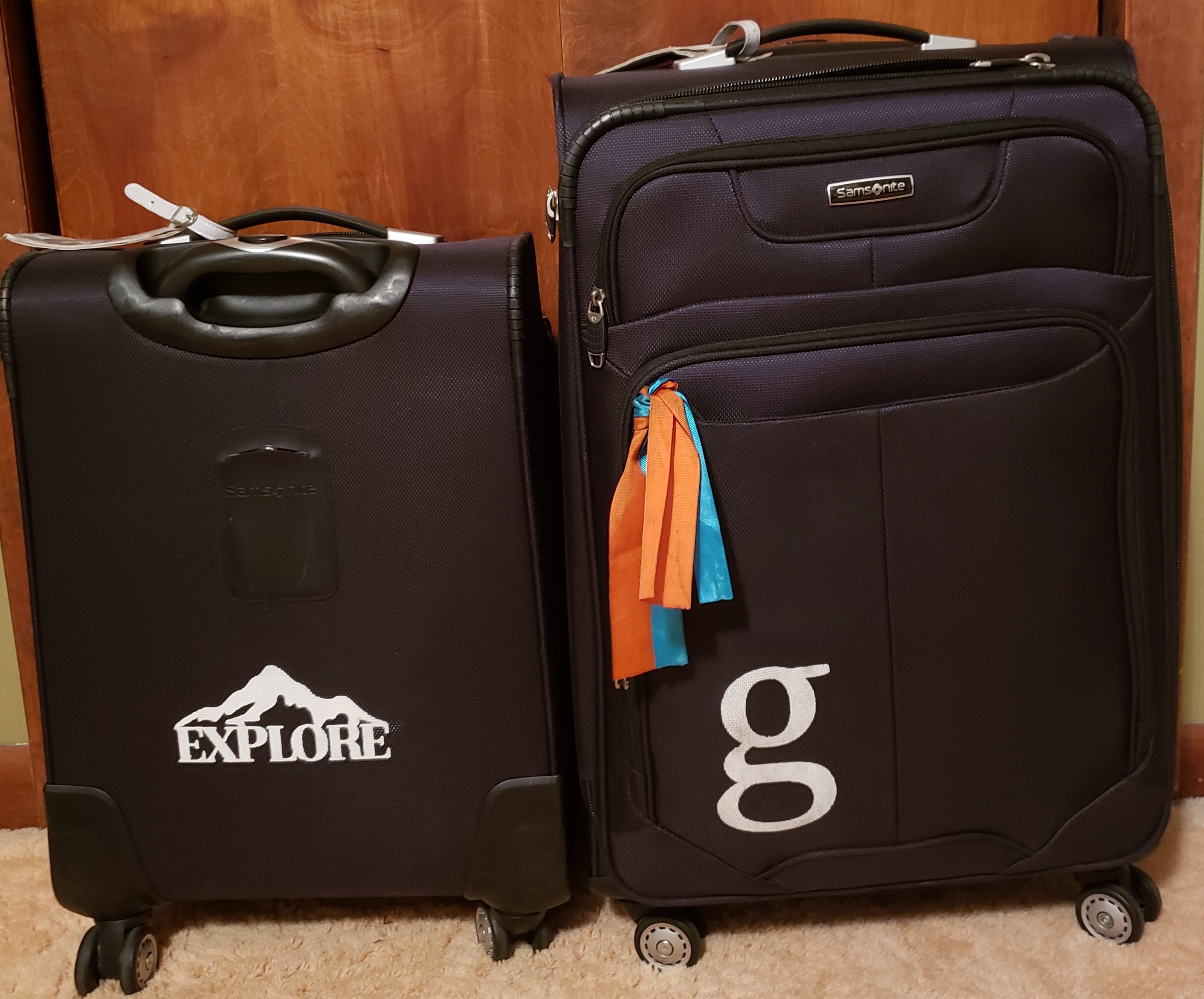 Read more about the article Hey that’s my baggage!